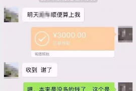 东坡如何避免债务纠纷？专业追讨公司教您应对之策